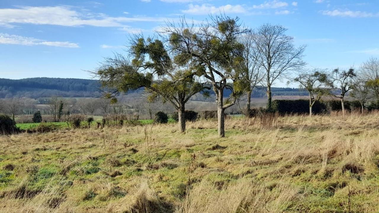Gite Cottage Chaleureux En Pleine Campagne Vue Sur Les Monts Et Forets Et Le Chateau De Carrouges エクステリア 写真