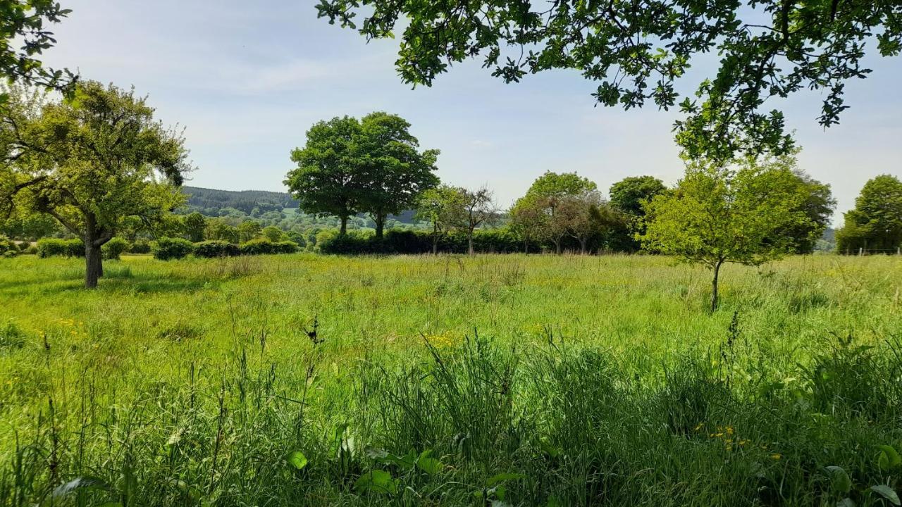 Gite Cottage Chaleureux En Pleine Campagne Vue Sur Les Monts Et Forets Et Le Chateau De Carrouges エクステリア 写真